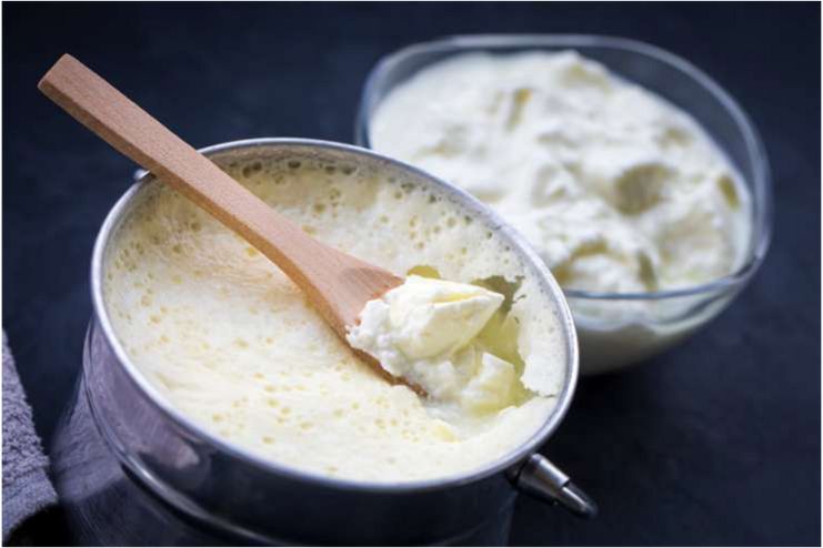 Yogurt
