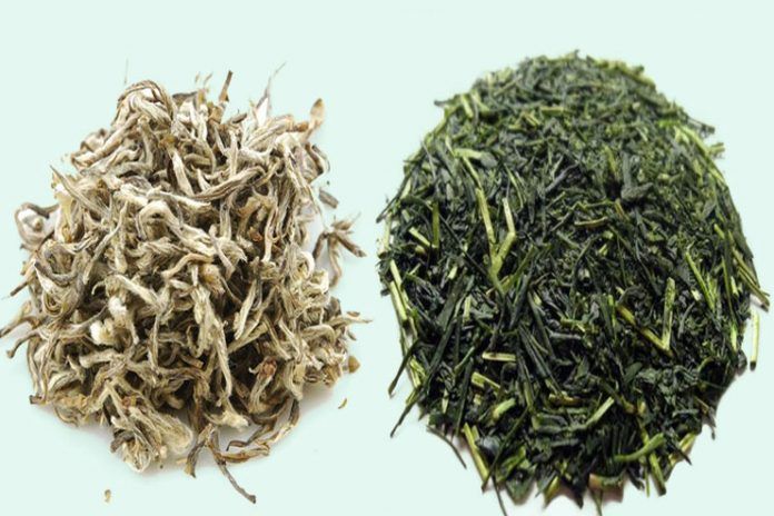 white tea, green tea