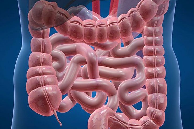Ulcerative Colitis Causes, Symptoms and Treatment & Medication