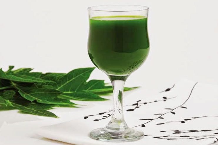 10 Incredible Health Benefits Of Papaya Leaf Extract