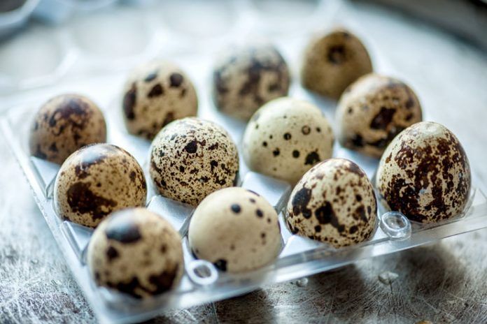 Quail Eggs