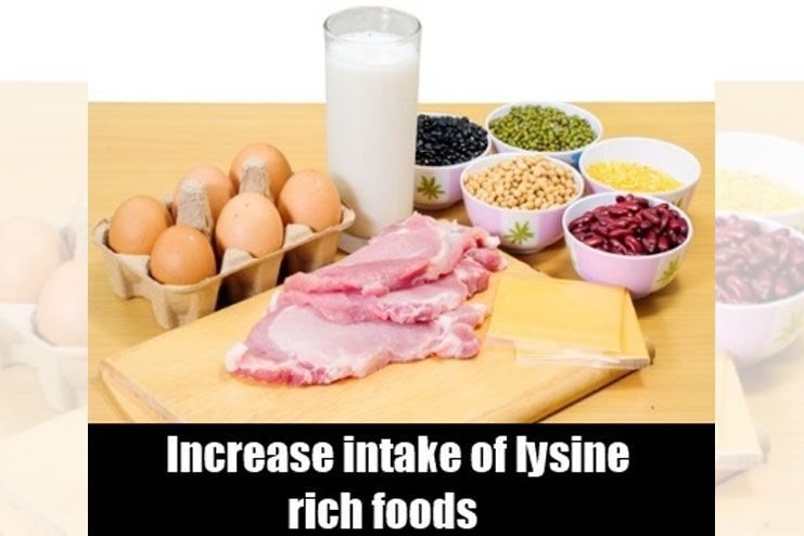 L lysine benefits side effects
