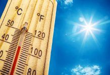 Avoid Heat Stroke With These 11 Astounding Natural Remedies heat stroke