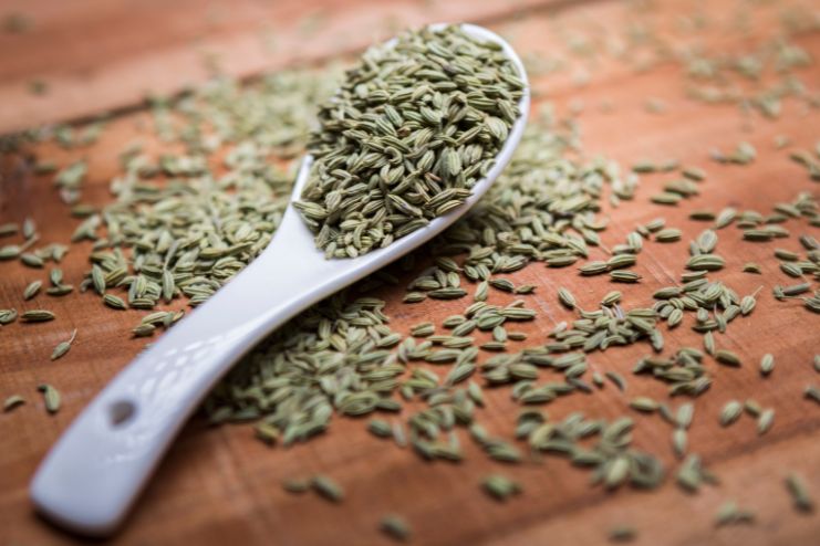 Seeds of Anise or Fennel