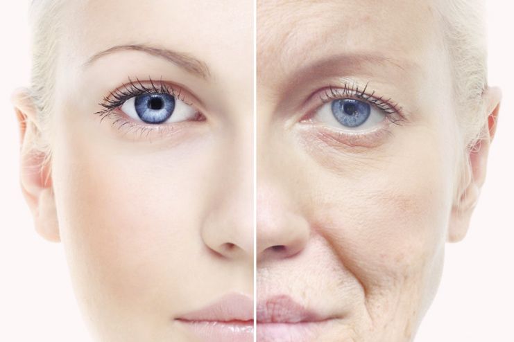 Experiments on Humans To Test Out Anti-aging Cures To Shortly Commence