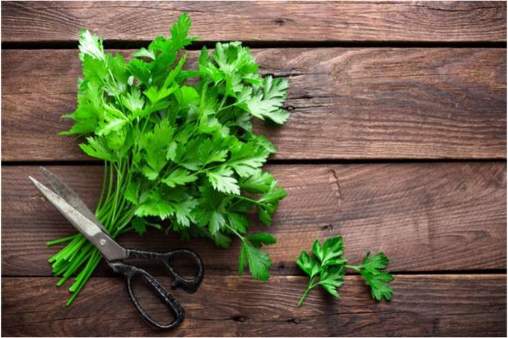 Parsley
