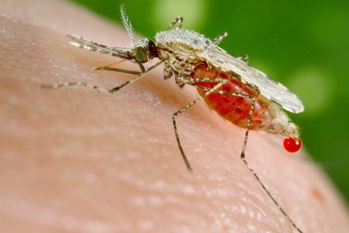 Malaria treatment