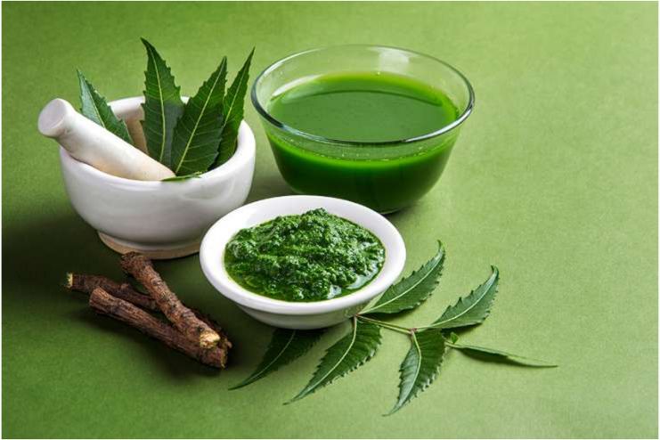 Neem