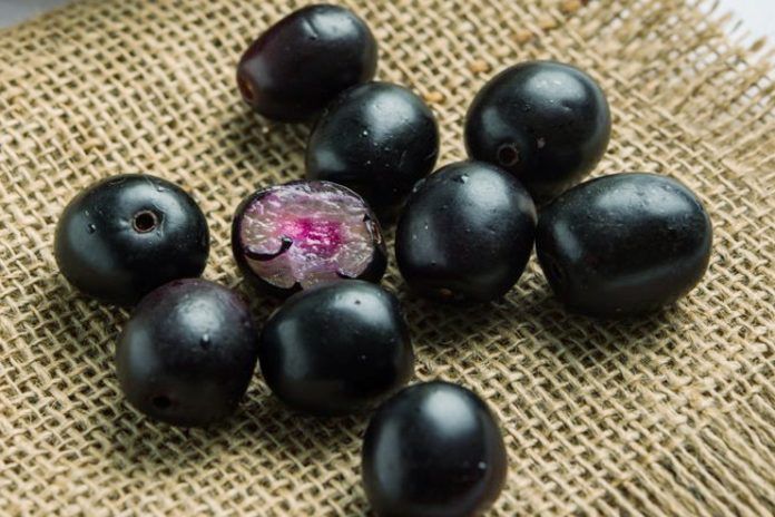 Jamun Fruit