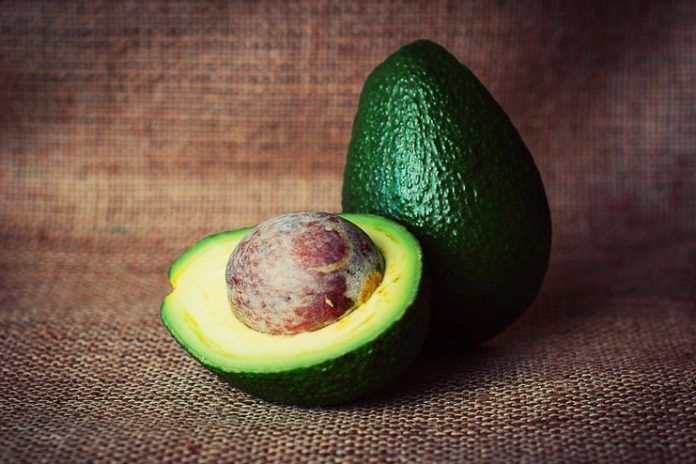 Avocado for Weight Loss