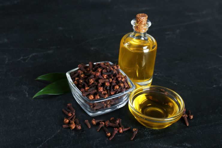 Clove Oil Treatment