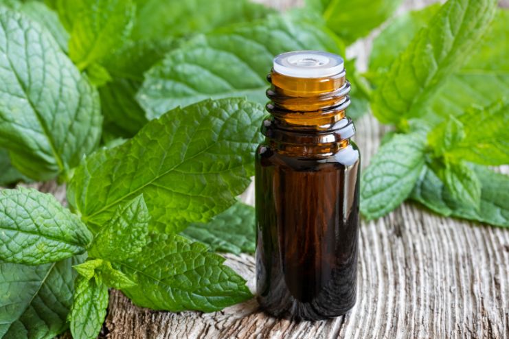 Peppermint Application