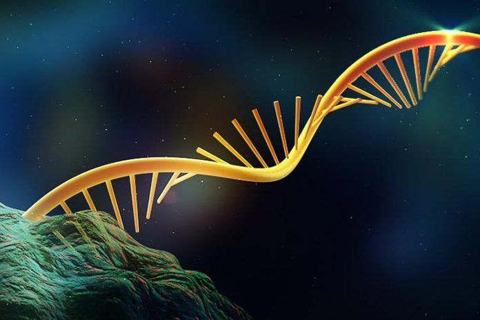 RNA-modification