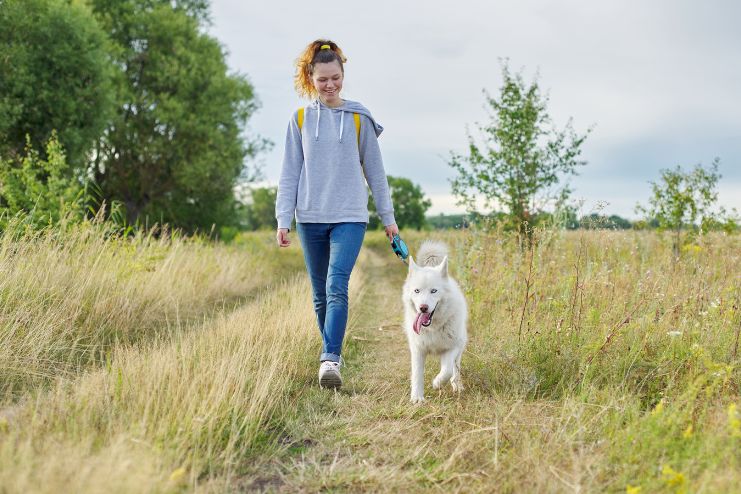 Harness the Power of Pet Companionship
