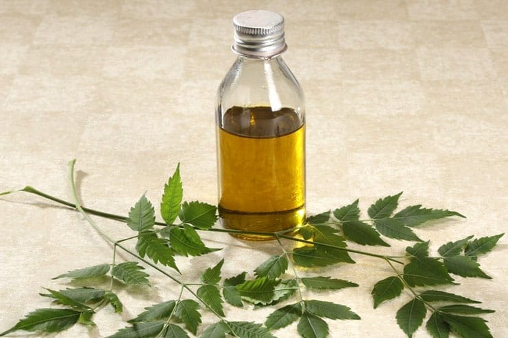 Neem Oil for Herpes