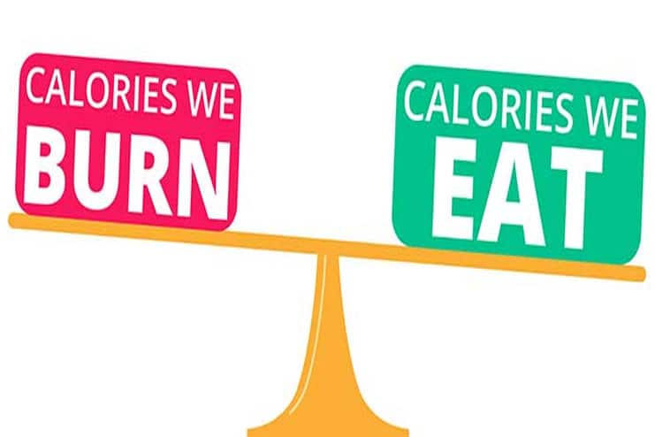 You are not maintaining the calorie deficit