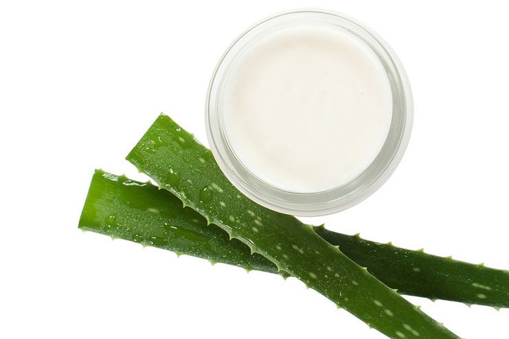 Aloe Vera for Chickenpox