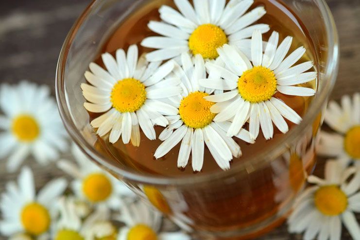 Chamomile Compress for Chickenpox