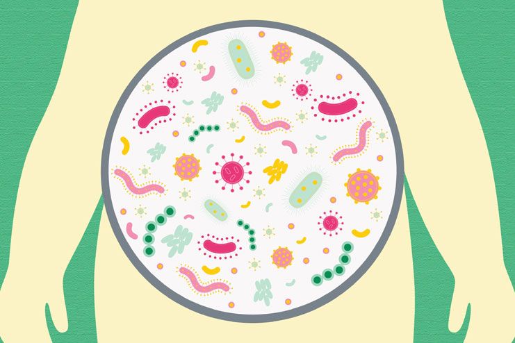 How To Improve Gut Bacteria