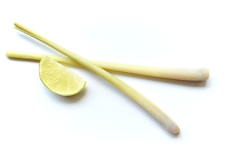 Lemongrass