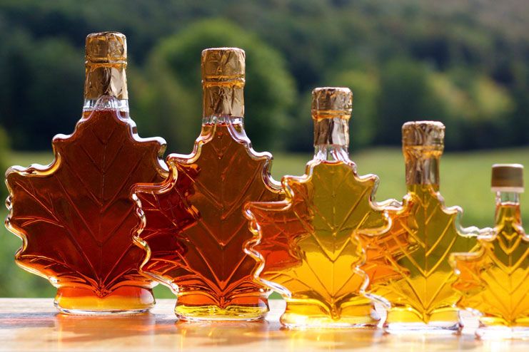 Organic Maple Syrup