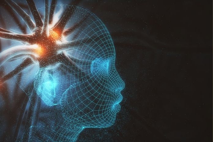 What Actually Happens in the Brain