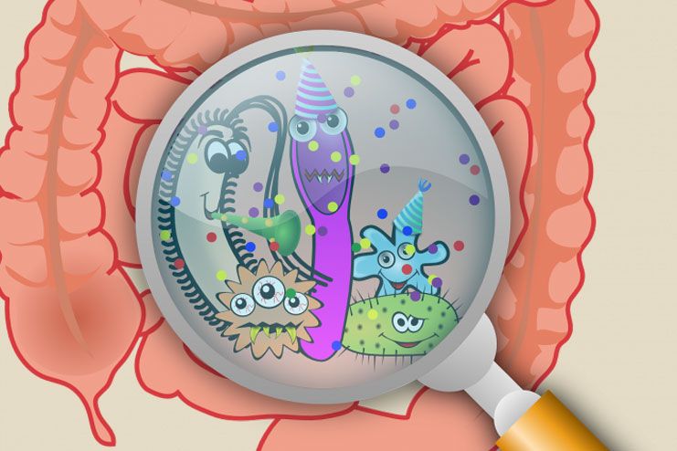 What Are Good Gut Bacteria