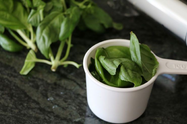 Basil Leaves