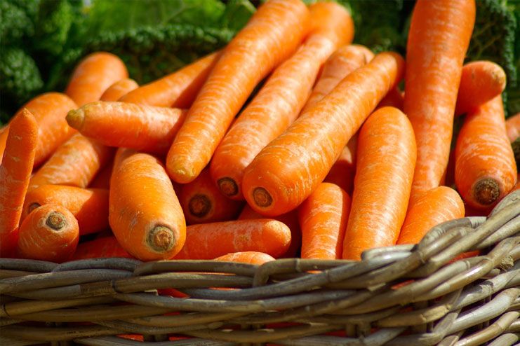 Carrots