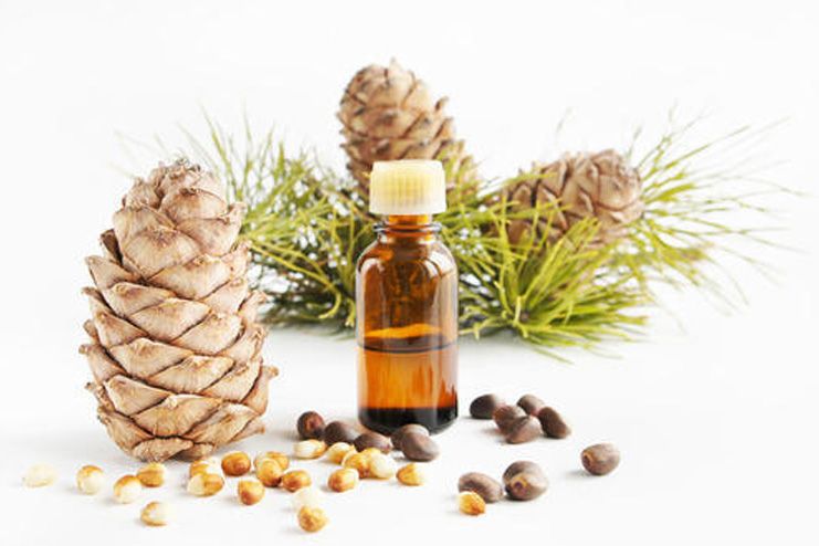 Cedarwood Essential Oil