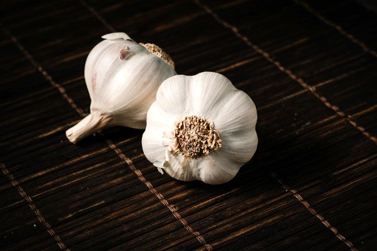 Garlic