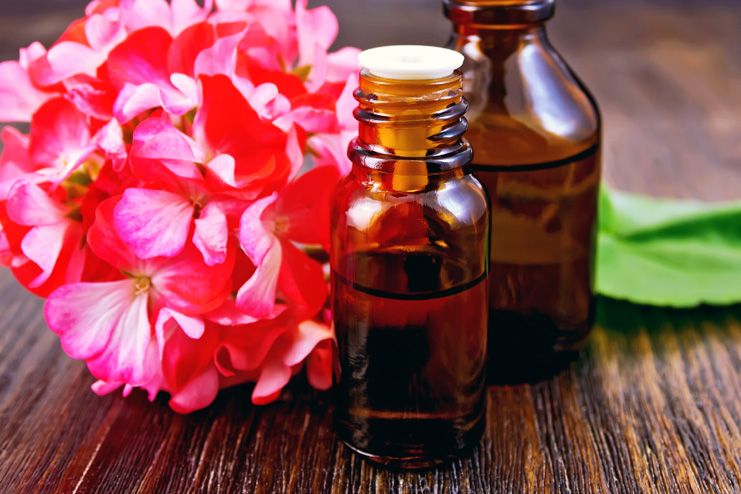 Geranium Oil