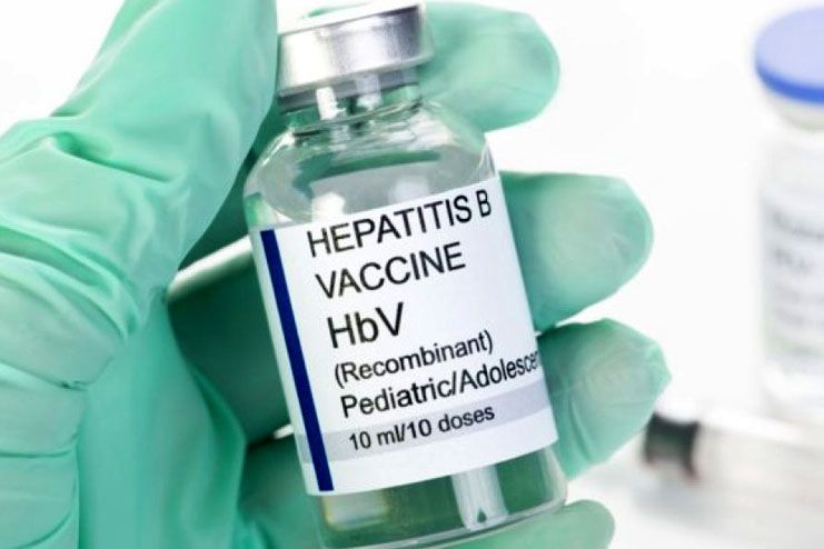Hepatitis B HbV Vaccine