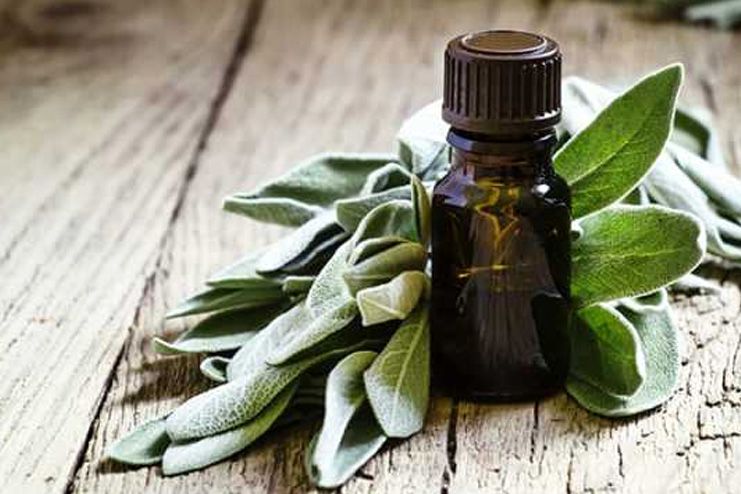 Sage and Thyme Essential Oil