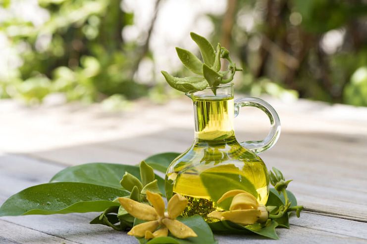 Ylang Ylang Oil