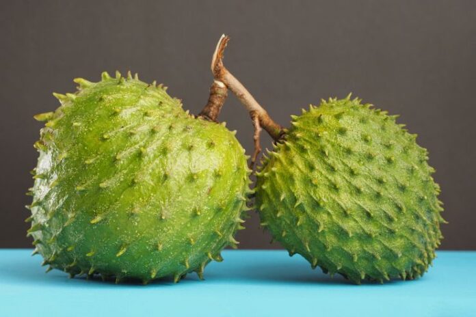 13 Extraordinary Benefits Of Soursop