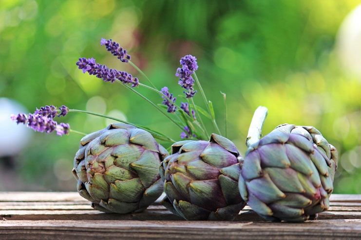 Artichokes