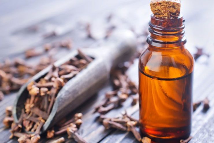 Clove Oil