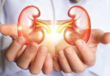 Novel Drug Developed That Reduces Risks Of Kidney Disease In Diabetics, New Study Finds Kidney-disease