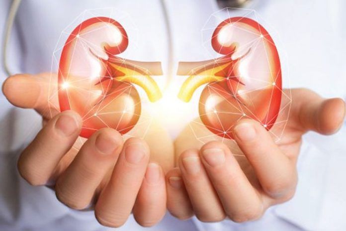 Kidney-disease