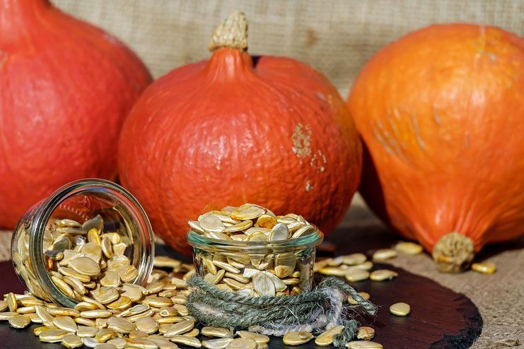 Pumpkin Seeds