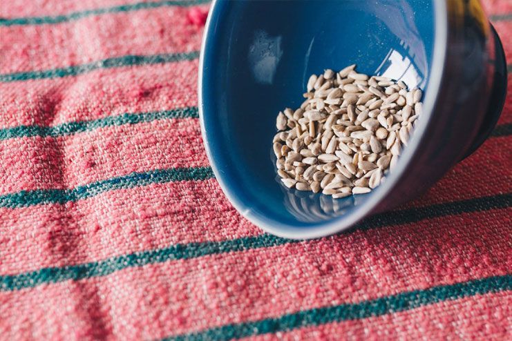 Top Healthiest Seeds To Eat And Benefits