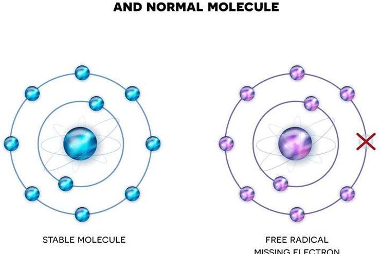 Types of Free Radicals