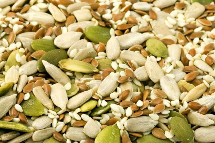 What Are The Types Of Seeds