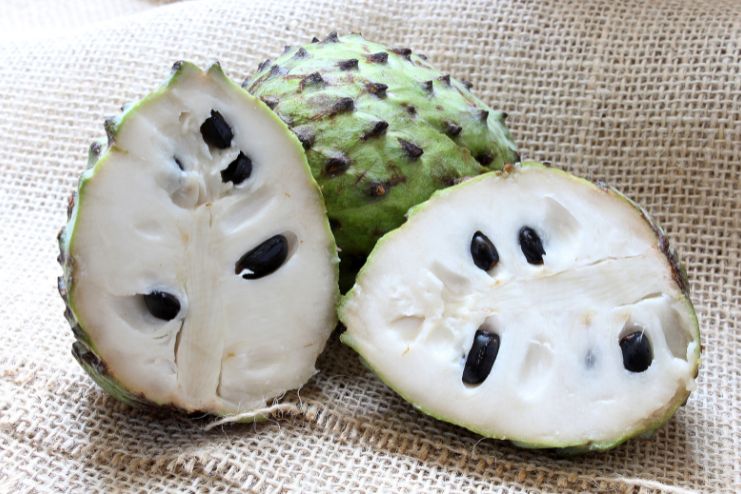 What are the Benefits of Soursop