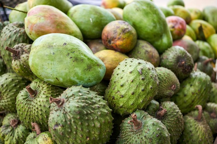 Where to Buy Soursop