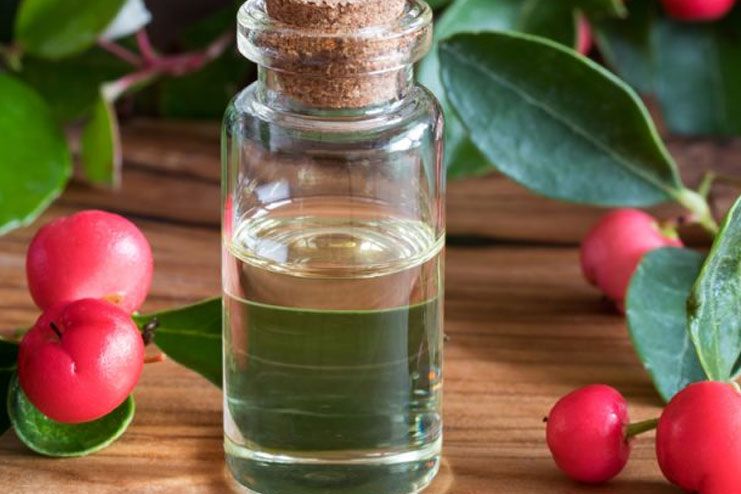 Wintergreen Oil