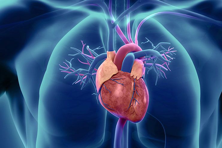 Cardiovascular diseases