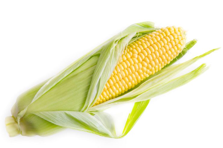 Corn