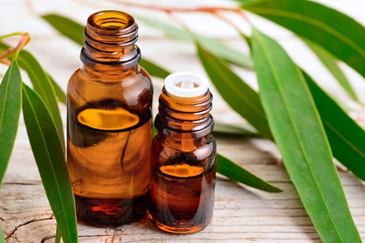 Eucalyptus Oil